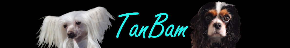 TanBam